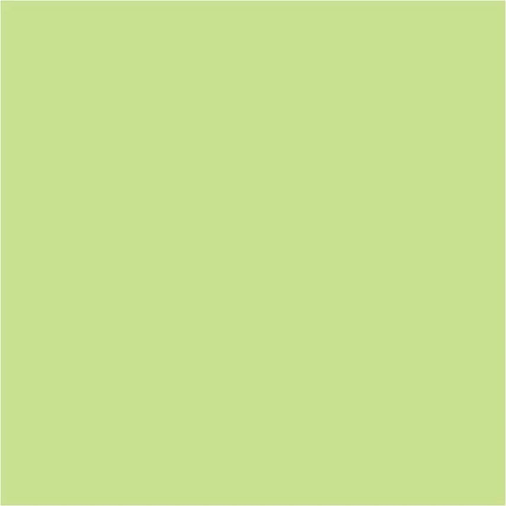 Pentart matt akrilfesték 20ml - limetta
